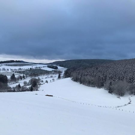 Appartement Familie Willems Winterberg 3 외부 사진