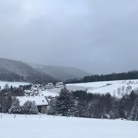 Appartement Familie Willems Winterberg 3 외부 사진
