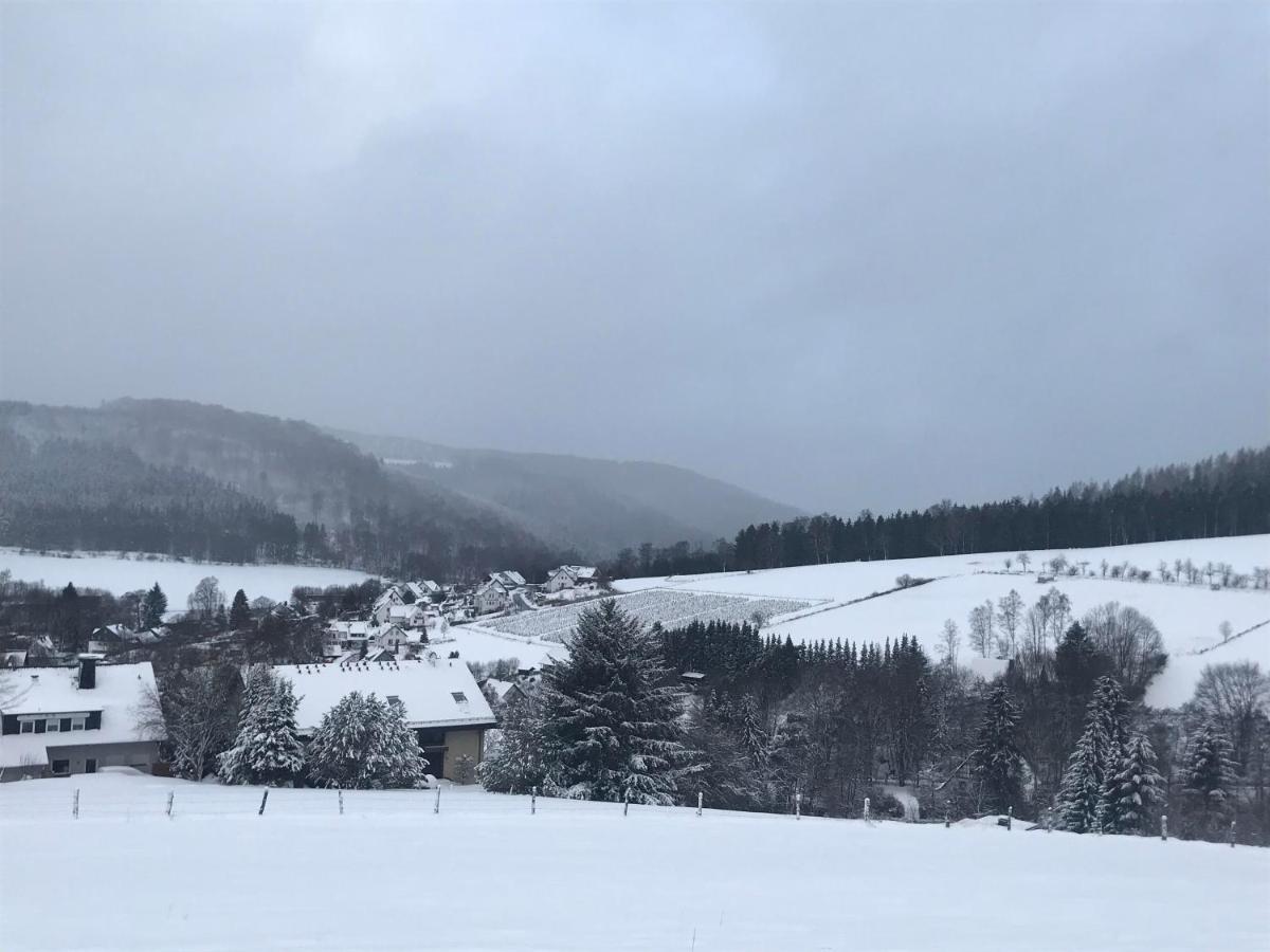 Appartement Familie Willems Winterberg 3 외부 사진