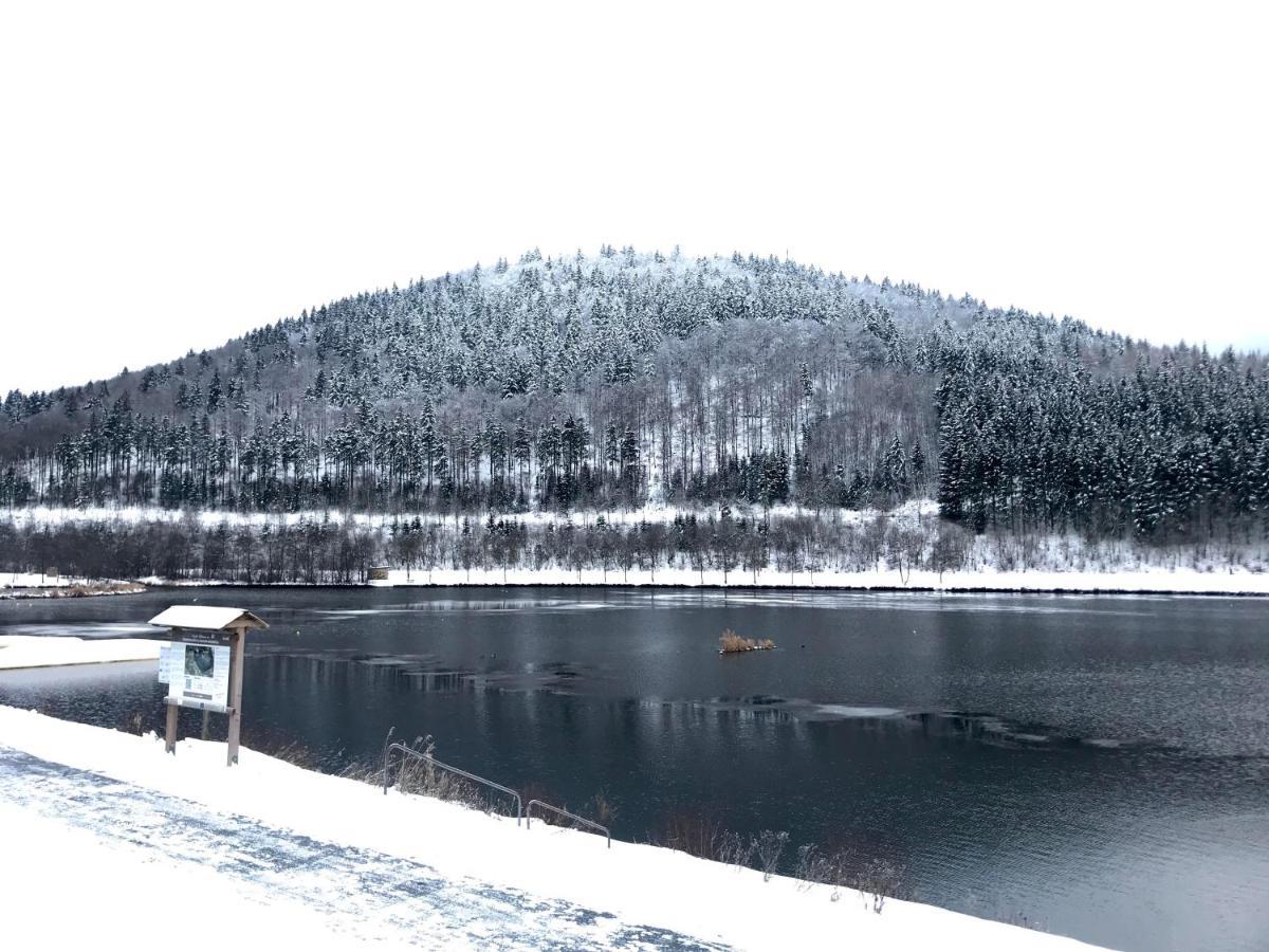 Appartement Familie Willems Winterberg 3 외부 사진